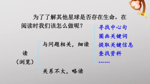 11 宇宙生命之谜   课件