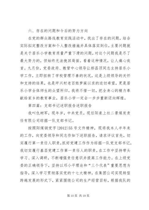 乡镇支部书记个人述职报告.docx