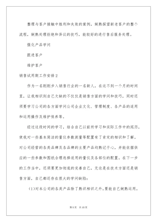 销售试用期工作计划.docx