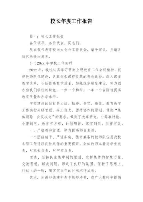 校长年度工作报告.docx