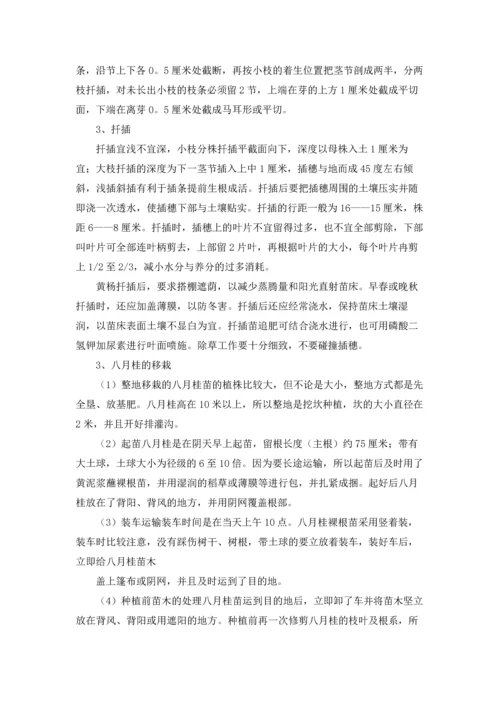 植物学实习报告合集十篇.docx