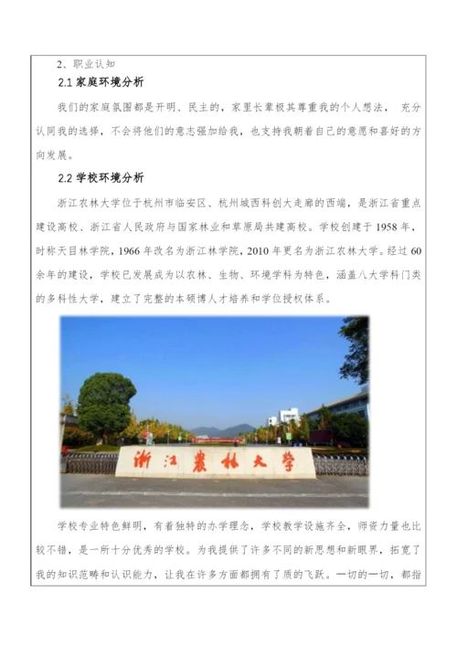 12页4195字计算机科学与技术专业职业生涯规划.docx