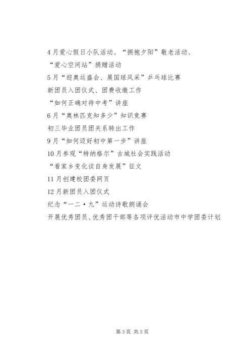 某市的中学团委计划.docx