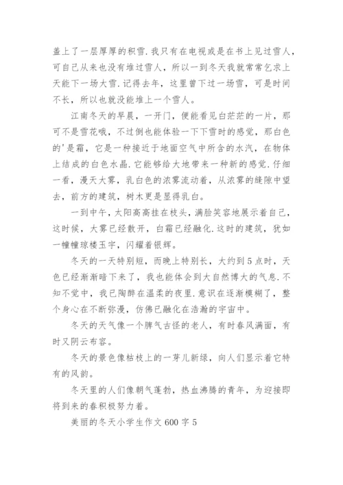 美丽的冬天小学生作文600字范文.docx