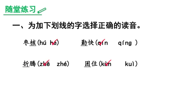 28《枣核》课件