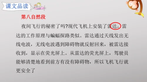 6 夜间飞行的秘密   课件