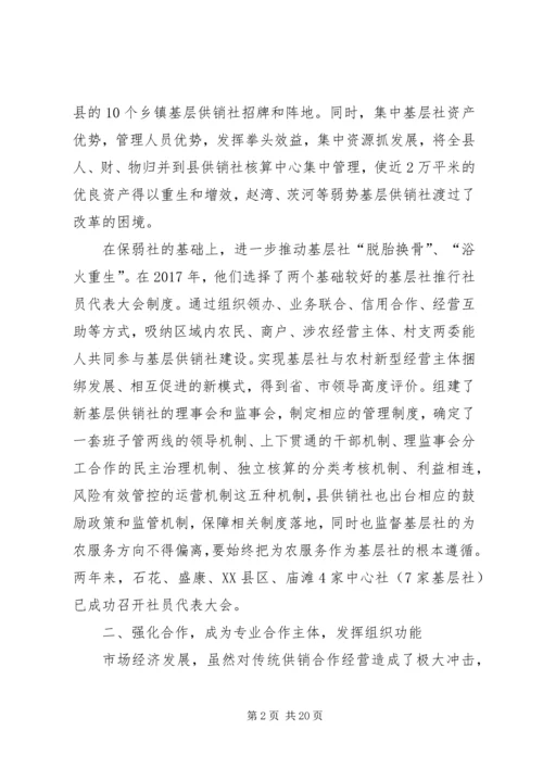 供销社基层组织建设工作纪实.docx