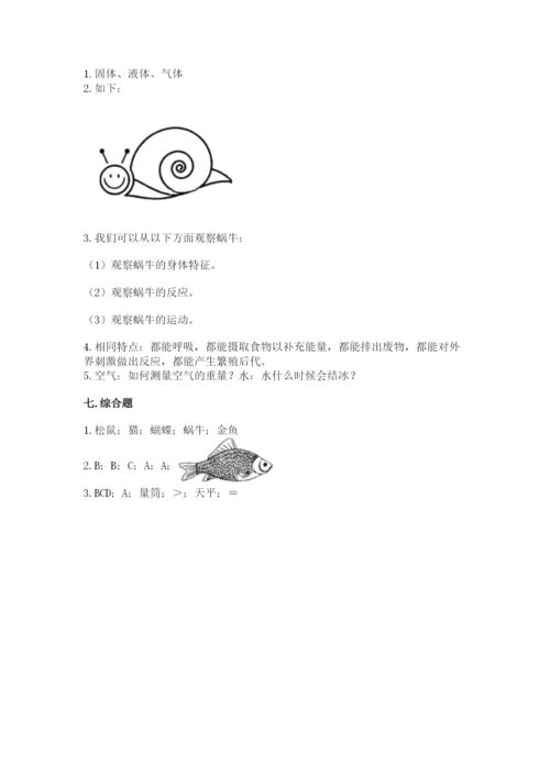 教科版小学科学一年级下册期末测试卷精品【有一套】.docx