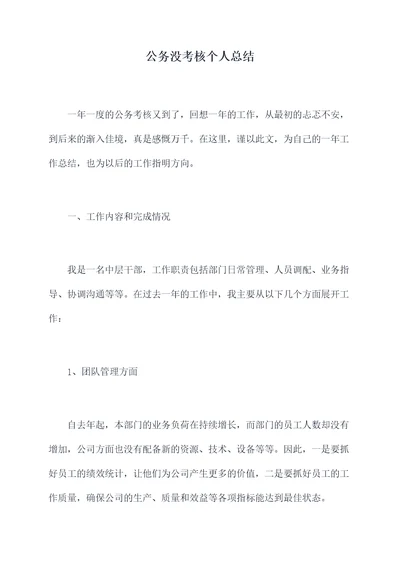 公务没考核个人总结