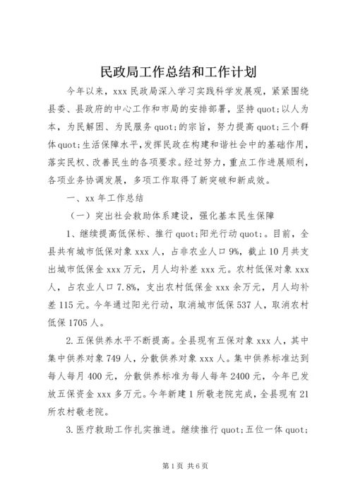 民政局工作总结和工作计划.docx