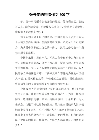 张开梦的翅膀作文600字.docx