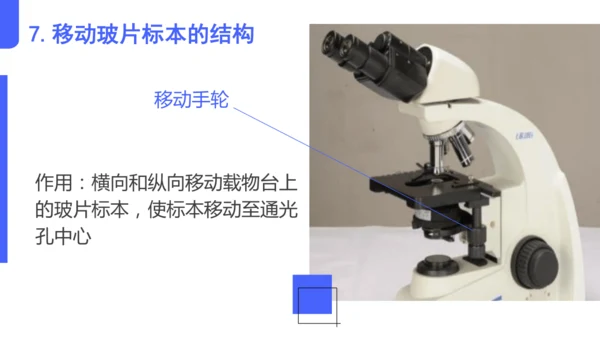 人教版（2024）七年级上册1.2.1 学习使用显微镜 课件(共29张PPT)