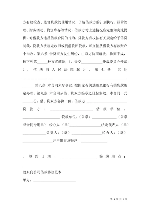 2021年股东向公司借款协议.docx