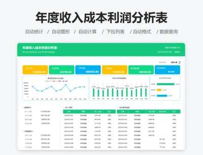 年度收入成本利润分析表