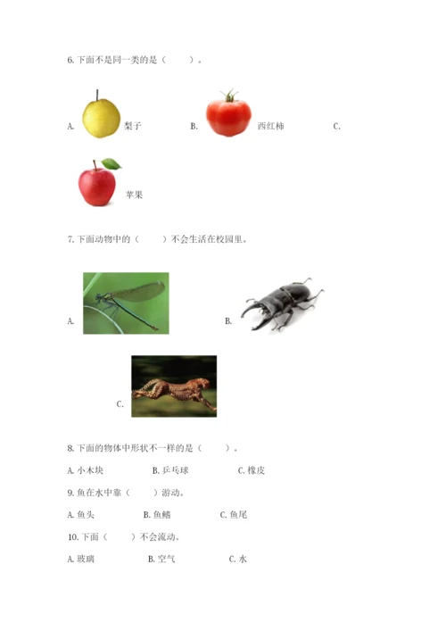 教科版一年级下册科学期末测试卷附参考答案（培优b卷）.docx