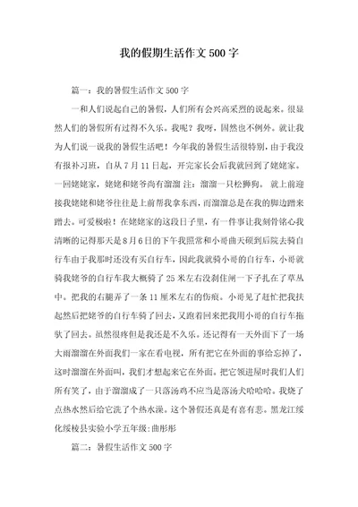 我的假期生活作文500字