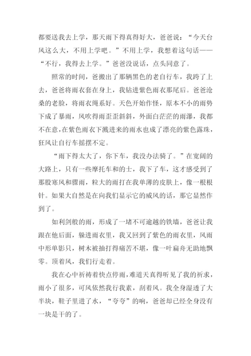 赞美父亲的作文.docx