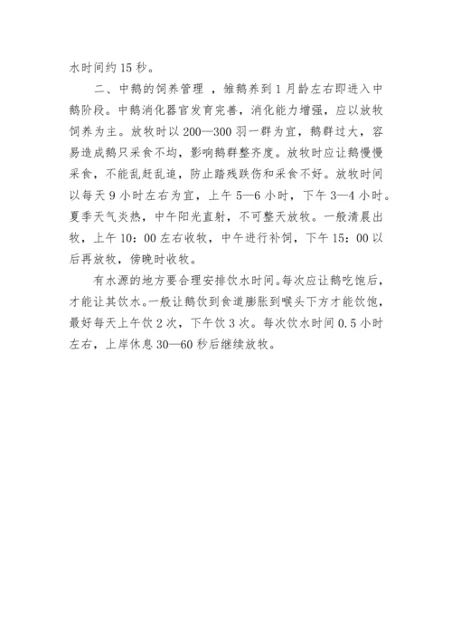 鹅养殖项目可行性研究报告.docx