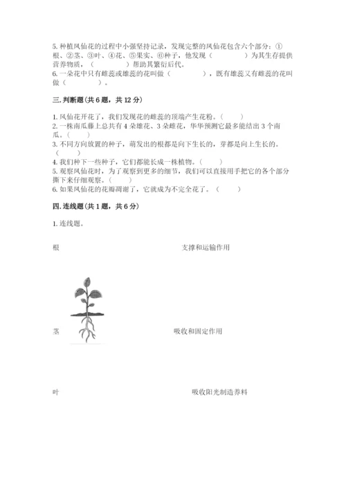 科学四年级下册第一单元《植物的生长变化》测试卷及答案（名师系列）.docx