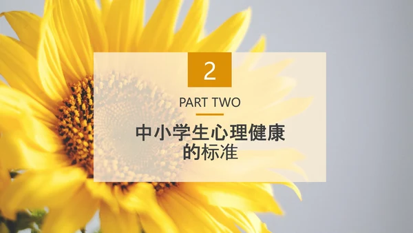 中小学生心理健康应知应会PPT模板