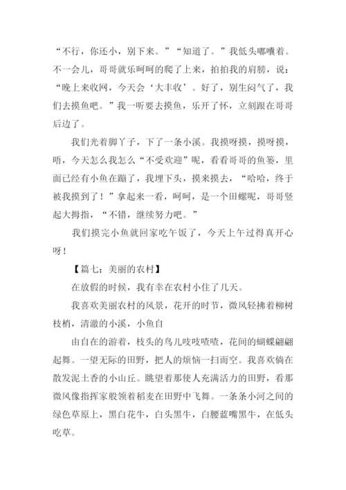 美丽的农村作文300字.docx