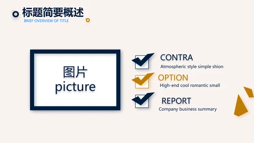 高端稳重大气商业计划书商务PPT动态