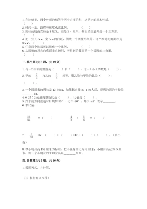 台山市六年级下册数学期末测试卷审定版.docx