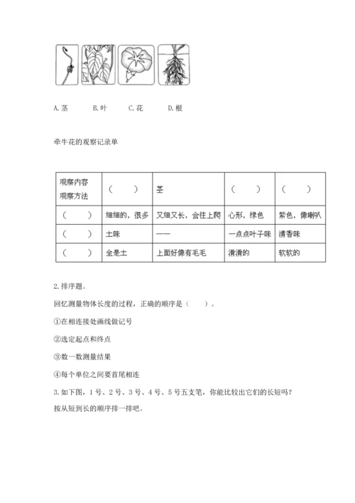 教科版一年级上册科学期末测试卷【典优】.docx