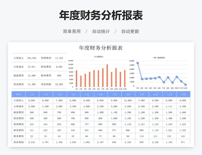 年度财务分析报表