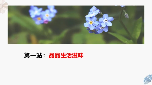统编版五年级上册第五单元同步习作 ：生活万花筒   课件