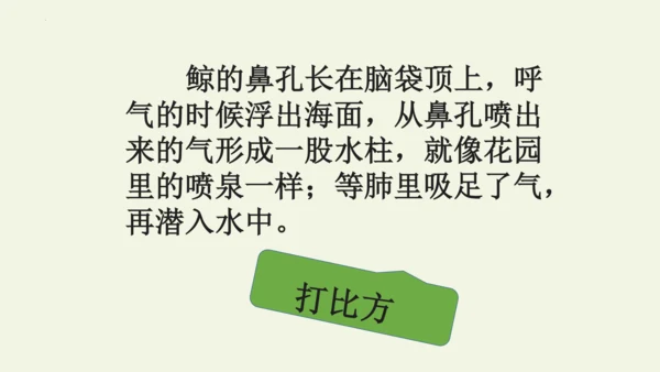 部编版 五年级语文上册第五单元习作例文 《鲸》（课件）