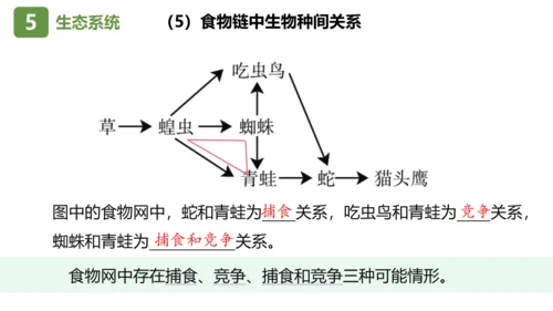 七上第一单元 生物和生物圈复习课件(共26张PPT)