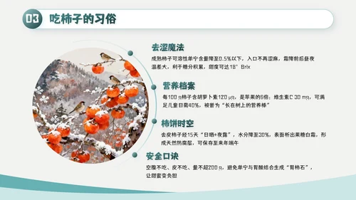 绿色简约风霜降主题班会PPT模板