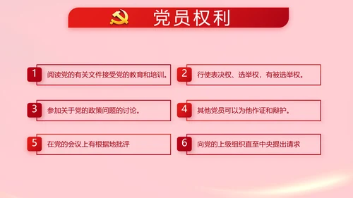 红色党支部党员代表大会工作总结PPT