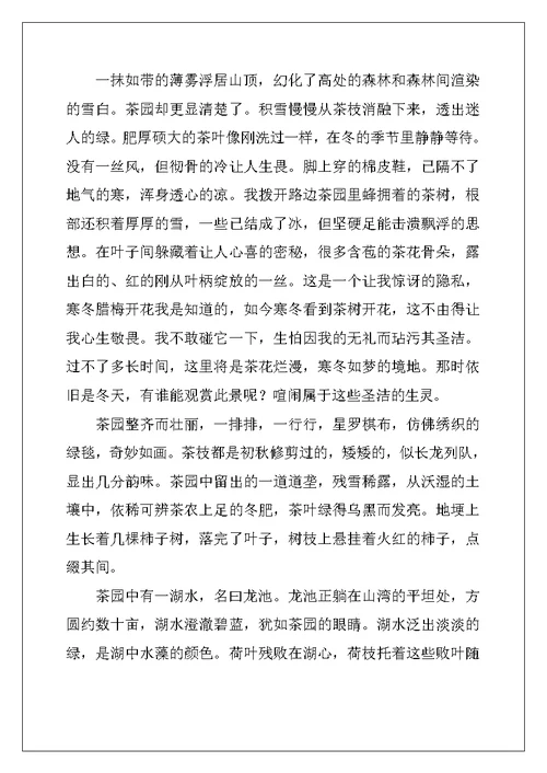 2022年冬天写景作文9篇
