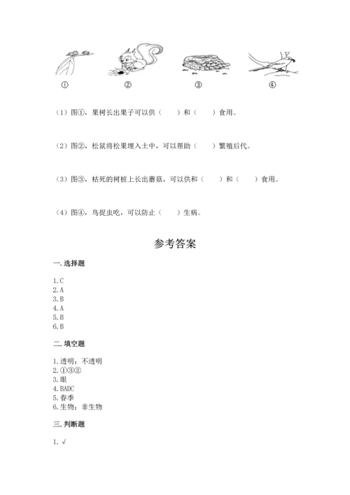 教科版二年级上册科学期末测试卷带答案（达标题）.docx