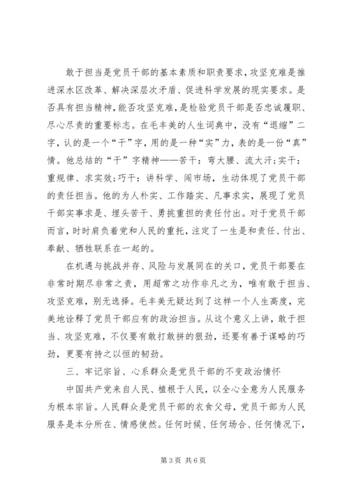 学习毛丰美、实干促振兴20XX年 (5).docx