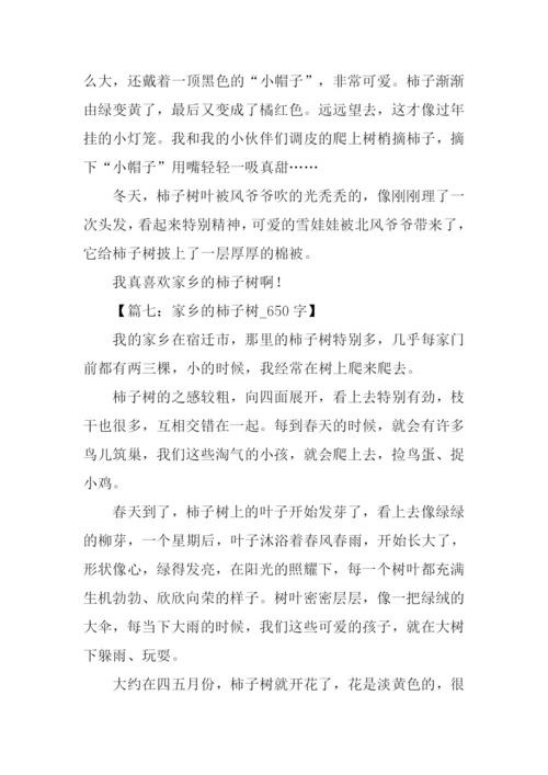 描写柿子树的作文.docx