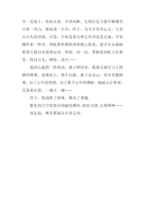 不曾忘却的镜头作文800字.docx