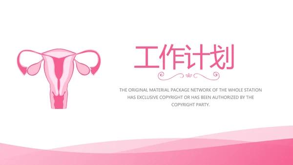 粉色简约关爱女性健康工作总结汇报动态PPT