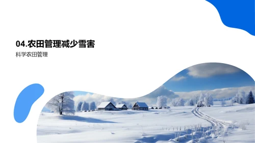 应对大雪的农业策略