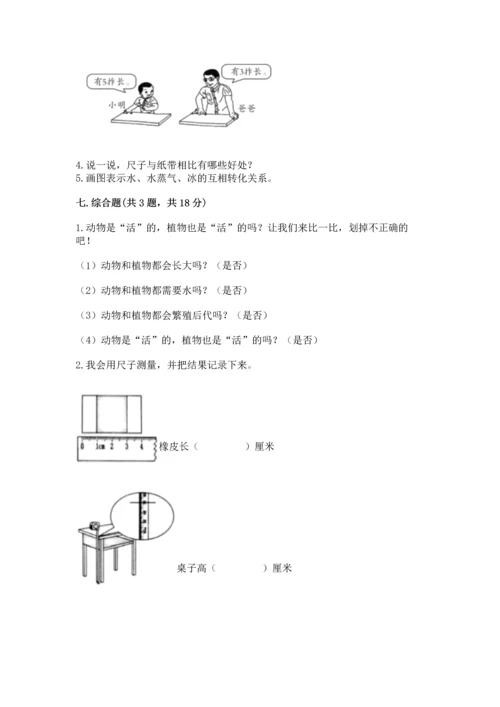 教科版科学一年级上册期末测试卷（全优）word版.docx