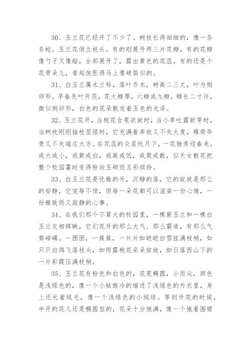 描写玉兰花的优美句子.docx