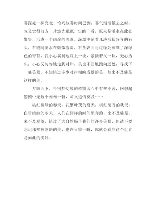 不及驻足的美作文.docx