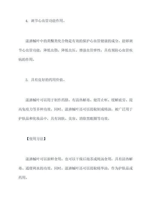 漾濞槭植物的功效与作用
