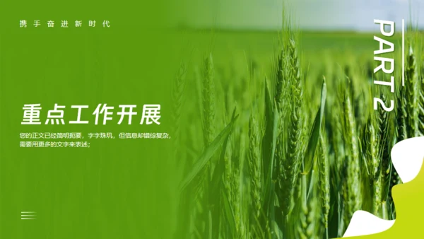 乡村振兴项目工作报告通用PPT模板