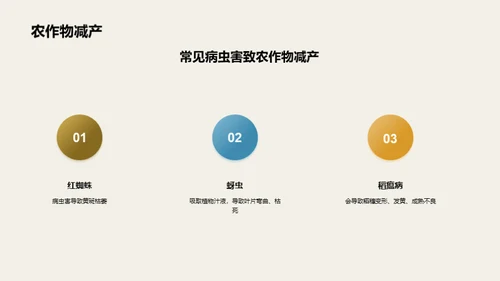 3D风教育培训教学课件PPT模板