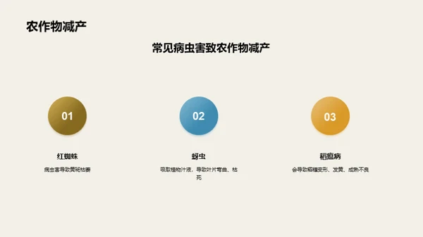 3D风教育培训教学课件PPT模板