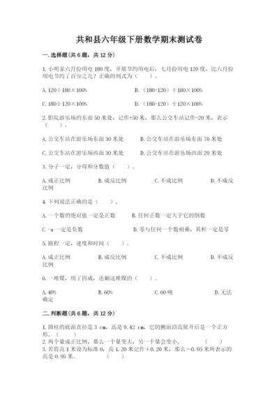 共和县六年级下册数学期末测试卷（精练）.docx