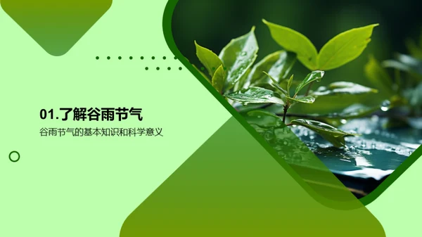 谷雨节气，探索与学习